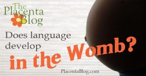 Language development begins in the womb?