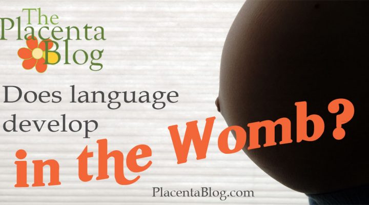 Language development begins in the womb