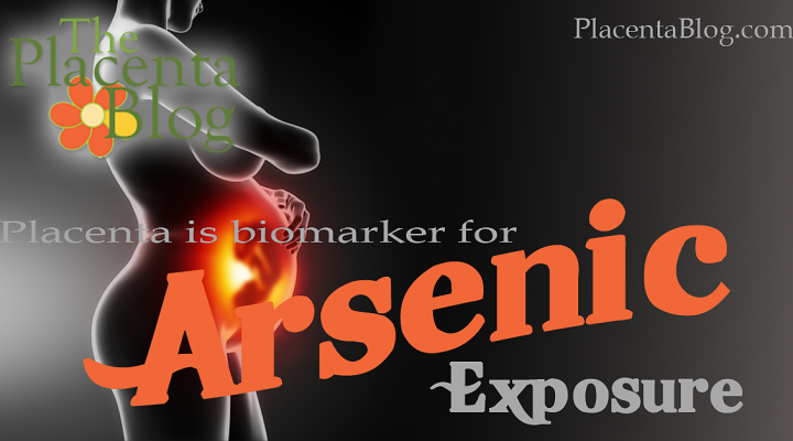 Placenta is a reliable biomarker for arsenic exposure