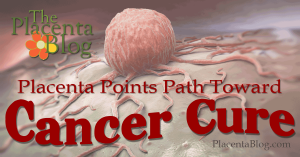 Placenta Points Way to Cancer Cure